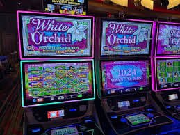 8880 Sportsbook Markets